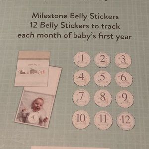 Milestone Memory Set. Belly Stickers & Photo Album